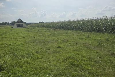 Teren de 7200 mp, în Nicani - 6