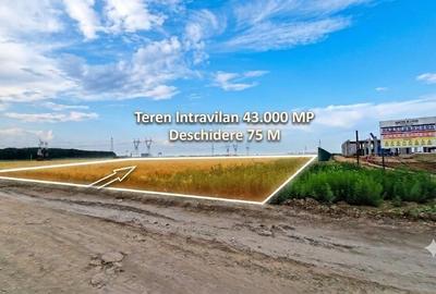 Teren Construcții intravilan de 43000 mp, în Ștefăneștii de Jos - 2