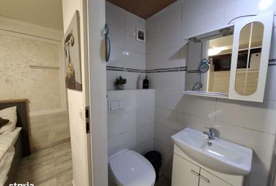 Garsonieră, mobilată în Dudești - 8
