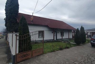 Proprietate finisata utilata (la cheie): Casa, Terasa, Carport Auto, Hala, Cladire, Teren 5755 mp - 1