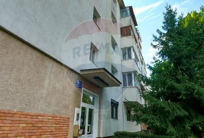 Apartament cu 3 camere de vanzare zona Eminescu, Deva - 17
