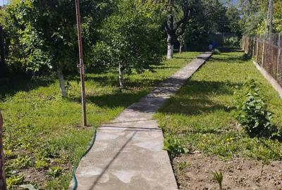 Casă cu 3 camere cu Teren 533 Mp în 14 Mai - 3