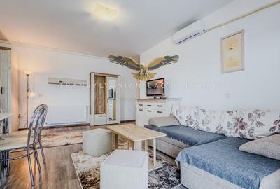 Apartament cu 2 camere semidecomandat, mobilat în Europa - 12