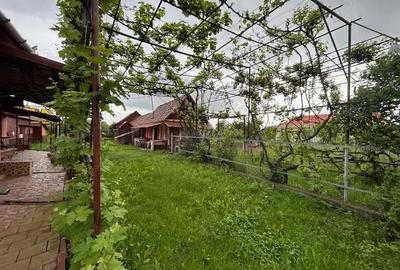 Casă cu 4 camere în Rușii-Munți - 9