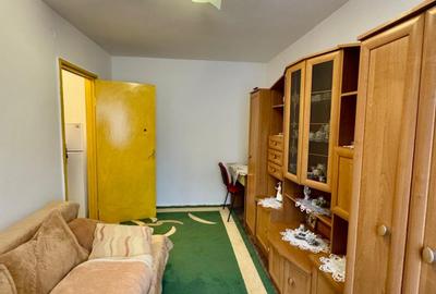 Apartament  cu 2 camere, zona Aleea Muncii - Tot ce ai nevoie la parter - 10