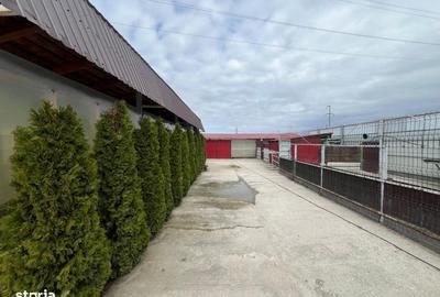 Teren de 4000 mp, în Ișalnița - 7