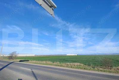 Teren de 59000 mp, în Ariceștii Rahtivani - 3