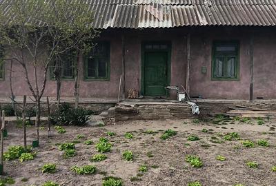 Casă cu 4 camere cu Teren 600 Mp în Dunavățu de Sus - 4