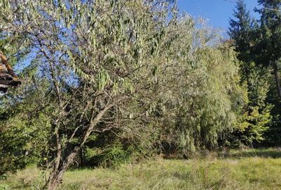 Vand casa de vacanta de 70 mp pe un teren de 1572 mp in Campul Cetatii la intrare in sat,langa sosea - 9