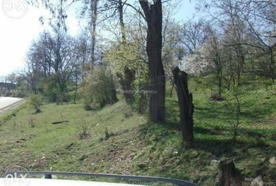 Spațiu comercial, în Măneciu - 5