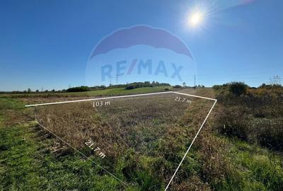 Teren Construcții intravilan de 2240 mp, în Lăpușel - 2