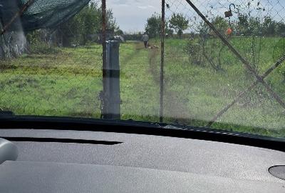 Teren Construcții intravilan de 3000 mp, în Cazasu - 5