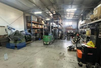 Hala de vanzare 365 mp, Mosnita Noua! - 10