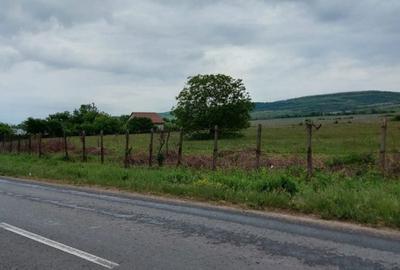 Teren de 11780 mp, în Merei - 8