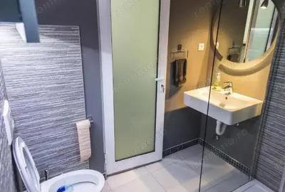 Apartament 2 camere Zona Zizinului - 2