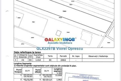 Teren intravilan, toate utilitatile, Branesti