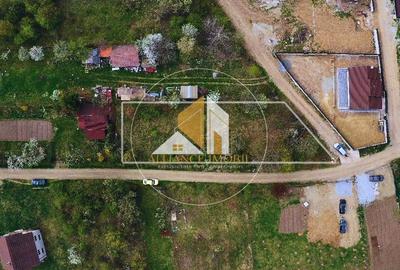 Teren agricol extravilan de 1000 mp, în Nord-Est - 2