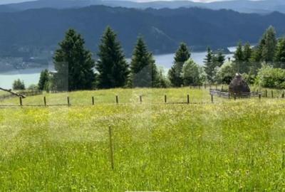 Teren de 1346 mp, în Colibița