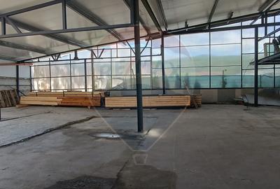 Spațiu industrial, 400 mp în Șura Mare - 1