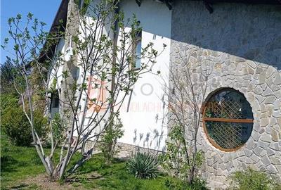 Casă individuală cu 6 camere cu Teren 2159 Mp în Merei - 19