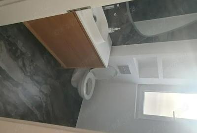Casă cu Teren 317 Mp în Moșnița Nouă - 2