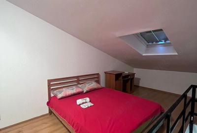 Apartament cu 2 camere semidecomandat în Tudor Vladimirescu - 8
