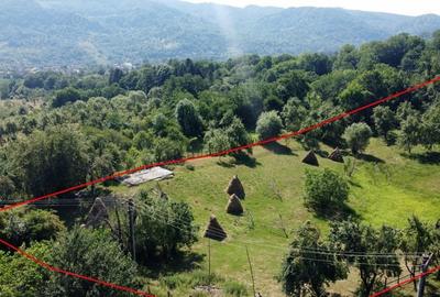 Teren de 6348 mp, în Corbeni - 9