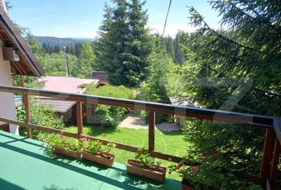 Ocazie , cabana, 300 mp utili, Poiana Stampei cu 6060 mp ter - 14