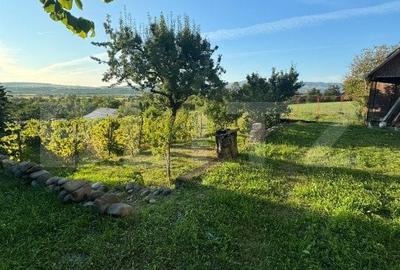 Casa in Alunis, 10.000 mp de teren, cu vie si livada, vedere panoramica - 3