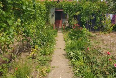 Casă cu 3 camere cu Teren 823 Mp în Central - 4