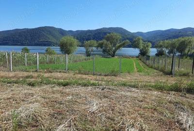 OCAZIE!!! Teren 2500mp, Berzasca-Liubcova, FS20m fata-spate - 4