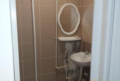 Piata Alba Iulia, mobilata, 240 euro - 8