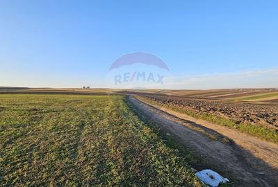 Teren agricol extravilan de 10152 mp, în Stroiești - 6