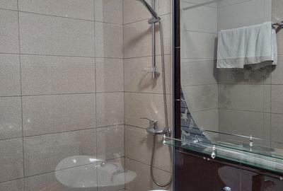 Apartament cu 2 camere semidecomandat în Dosu Bricii - 6
