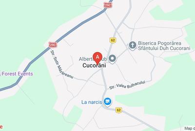 Teren Construcții intravilan de 4000 mp, în Cucorăni - 1