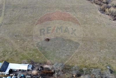 Teren 2925 mp comuna Mitocu Dragomirnei - 4