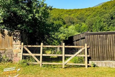 FILM! Teren extravilan pe 2.737mp,zona pretioasa,acces facil,Dobarlau,Covasna - 11