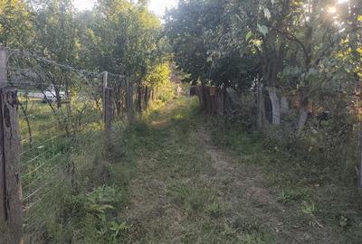 Teren de 2631 mp, în Malu Mierii - 2
