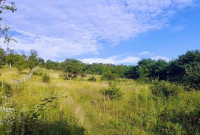 Spațiu comercial, în Cozia - 4