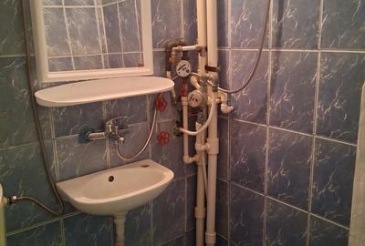 Apartament de inchiriat zona petrisor - 5