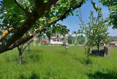 Casa individuala 5 camere cu teren 2000 mp Sura Mare Hamba Sibiu - 2