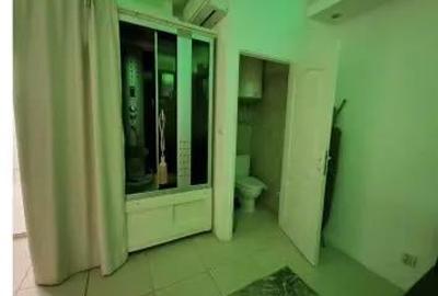 Garsonieră în Moșilor - 6