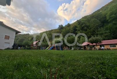 Spatiu de vanzare in Valea Macesului judel Valcea iesire la Lotru - 47