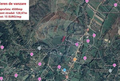 Teren Construcții intravilan de 4500 mp, în Tohanu Nou - 5