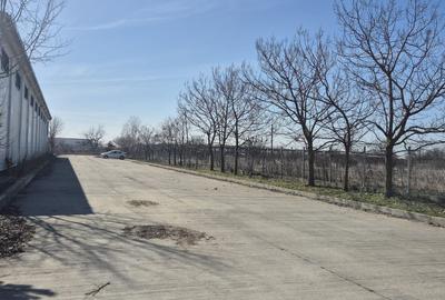 Spațiu industrial, de 2,586 mp, în Dragomirești-Vale - 14