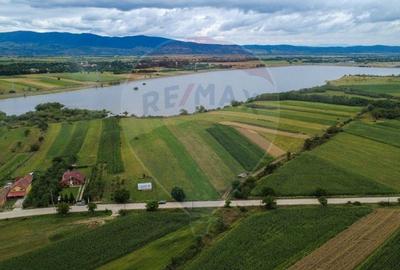 Teren superb Unciuc / jud.Hunedoara - 5