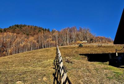Teren de vânzare în sat Măgura/ Brasov– loc pentru familie, liniște și suflet - 22