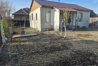 Casă cu 2 camere cu Teren 2489 Mp în Homorog - 10