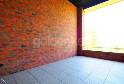 Apartament Loft spatios cu 4 camere | terasa 32mp - 27