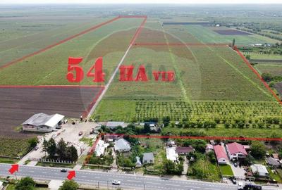 Oportunitate vie 54 ha la DN E85 - 18